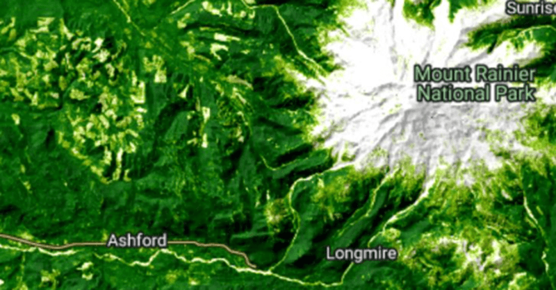 Tree Cover map layer preview